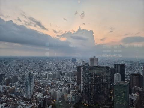       Panoramic cityscape of Tokyo under pastel sunset skies from a high observation deck.
  