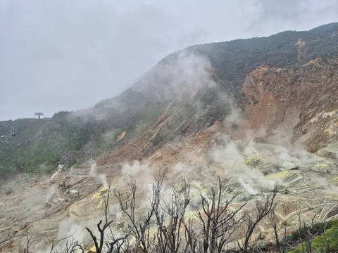       Steaming volcanic valley with sulphur vents and rugged mountain slopes in the mist.
  