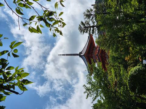       Pagoda spire framed by green leaves against a bright blue sky.
  