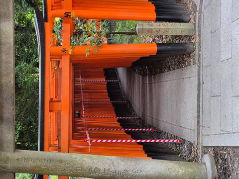       Curving walkway through a quiet section of vermilion torii gates with striped markers.
  