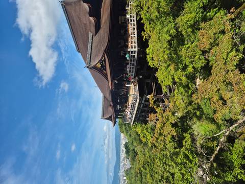      Side view of Kiyomizu-dera’s wooden stage rising above a sea of green trees.
  