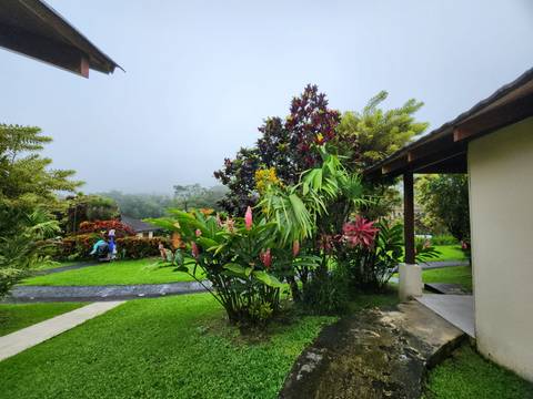       Tropical resort garden with vibrant foliage and misty hills beyond, couple seated on a bench.
  