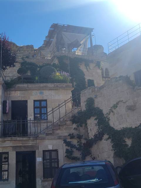       Stone house facade covered in vines with sunlight creating lens flare.
  