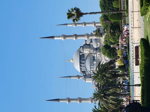       The Blue Mosque's grand domes and minarets rise above palm-lined gardens under clear blue sky.
  