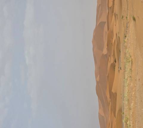       Tall portrait of serene Sahara sand dunes under a pale sky.
  