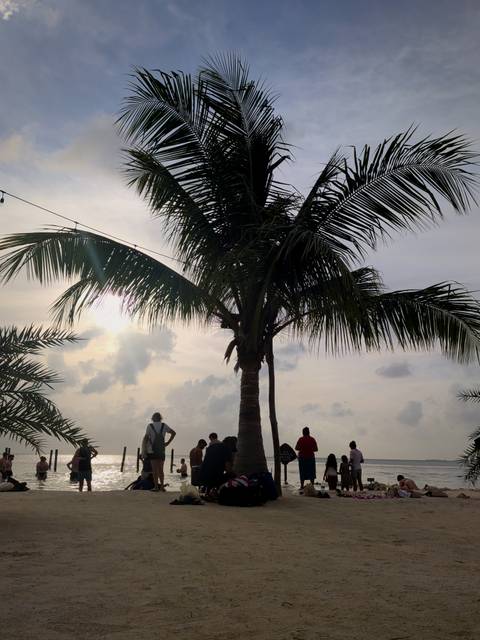       Silhouetted palm tree and small crowd enjoying a tropical sunset sky.
  