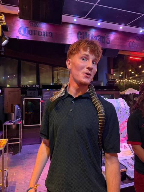       Young man indoors with a python draped around his shoulders in a bar lit by colorful neon lights
  