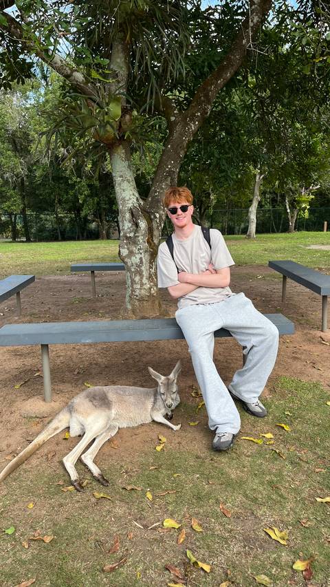       Young man sitting on a park bench with a relaxed kangaroo lying underneath
  