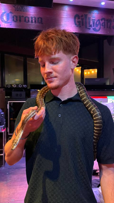       Close view of a man calmly holding a patterned snake around his hand indoors under dim lights
  
