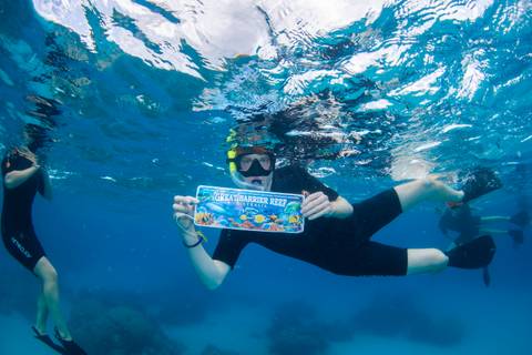       Snorkeller underwater holding a colourful 'Great Barrier Reef' sign while floating over coral sea
  