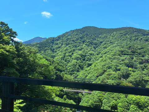       Lush green mountain slopes covered in dense forest viewed from a balcony rail on a bright day.
  