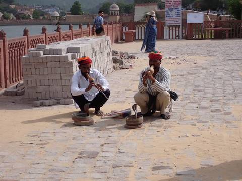       Two snake charmers in colorful turbans perform with flutes and cobra baskets on a sandstone terrace.
  