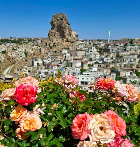       Bright roses in the foreground frame a sun-lit rock village and castle in Cappadocia’s unique landscape.
  