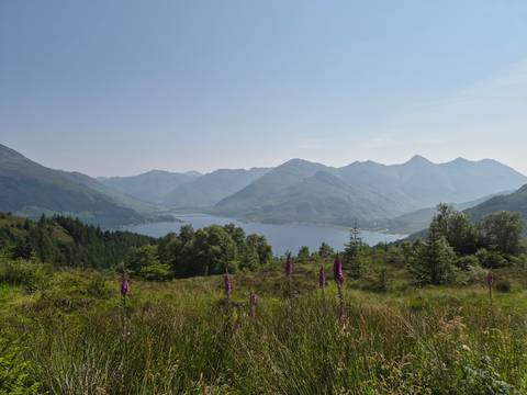       Wide Highland vista of mountains and lake bordered by blooming foxgloves under hazy skies.
  