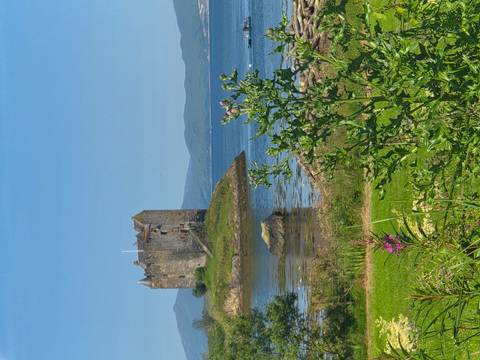      Picturesque Castle Stalker stands on a small islet framed by wildflowers and blue water.
  