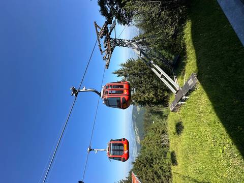       Bright red gondola cable cars gliding over green alpine meadows and dense evergreen forest under a clear blue sky.
  