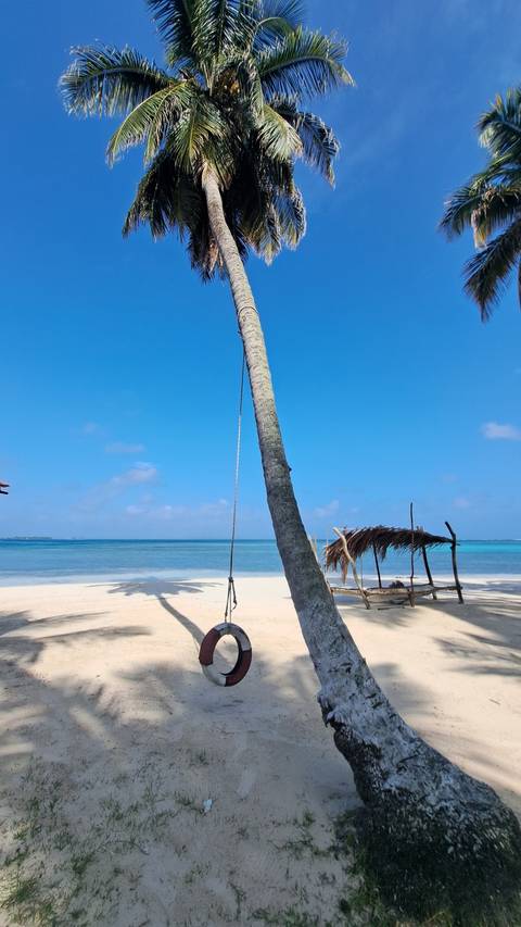       Photo d'avis client sur Expérience budgétaire sur l'île de San Blas Yanis 3D/2N 
  
