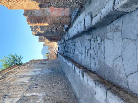      Ancient stone street lined with ruined walls in Pompeii leading toward distant volcano-shaped mountain.
  