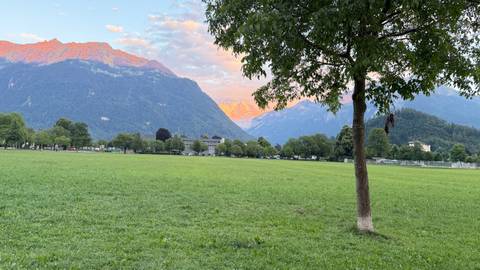       Green meadow stretches toward forested Alps as sunset paints mountaintops pink near Interlaken.
  