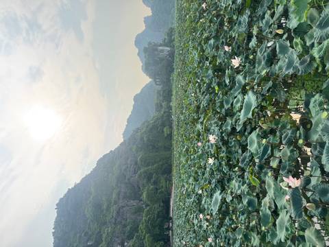       Wide lotus pond beneath hazy sun with surrounding forested hills
  