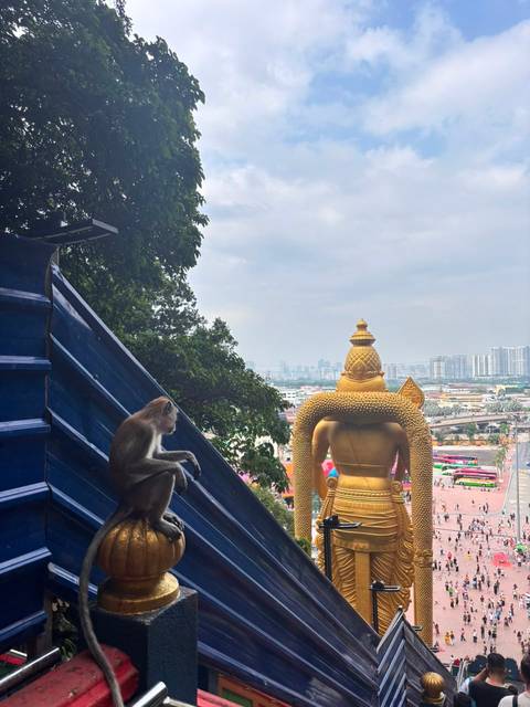       Photo d'avis client sur 7 jours à Kuala Lumpur : Visites de la ville, culture et croisières panoramiques 
  