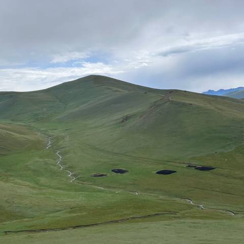      Rolling green high-country hills with winding stream under soft clouds.
  