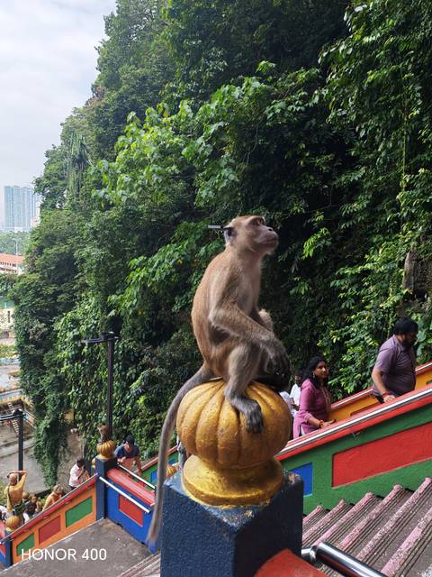       A macaque sitting confidently atop a golden sphere railing with lush jungle backdrop at Batu Caves.
  