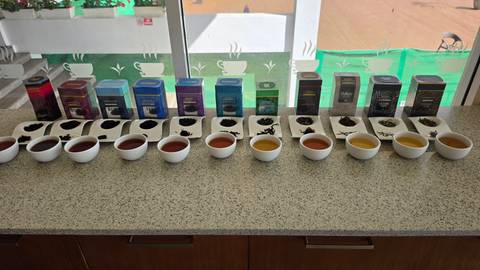       Row of tea samples in white cups paired with colourful tea boxes laid out on a counter inside a tasting room.
  