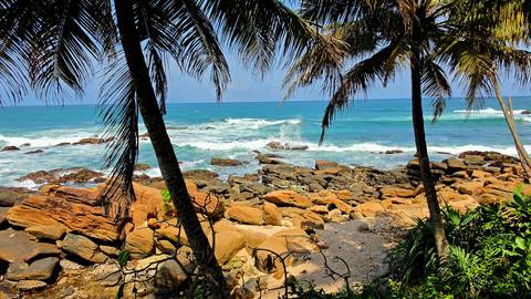       Scenic rocky coastline framed by leaning palm trees with turquoise waves crashing under a clear sky.
  