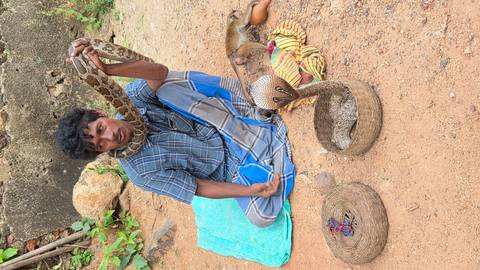       A snake charmer seated on the ground holds a python around his neck beside wicker baskets containing a cobra.
  