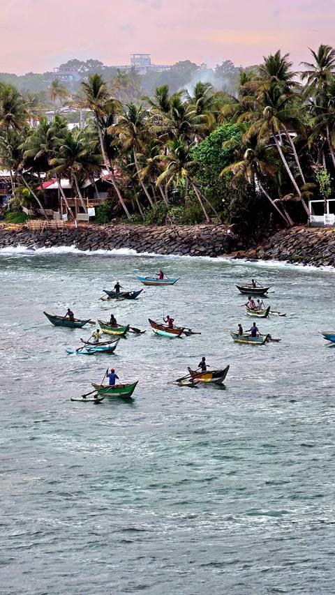       Dozens of small wooden fishing canoes with fishermen spread across choppy turquoise water near a rocky shoreline.
  