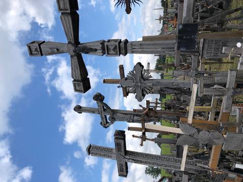       Countless wooden crosses of varying sizes standing closely together on a grassy hill under a blue sky.
  