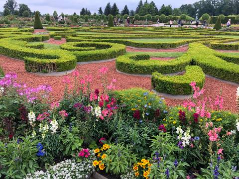      Formal garden with intricate box-hedge patterns bordered by colorful flowering plants.
  