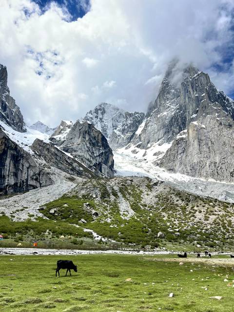       Snow-covered jagged peaks and glaciers towering above rocky green slopes under a partly cloudy sky.
  