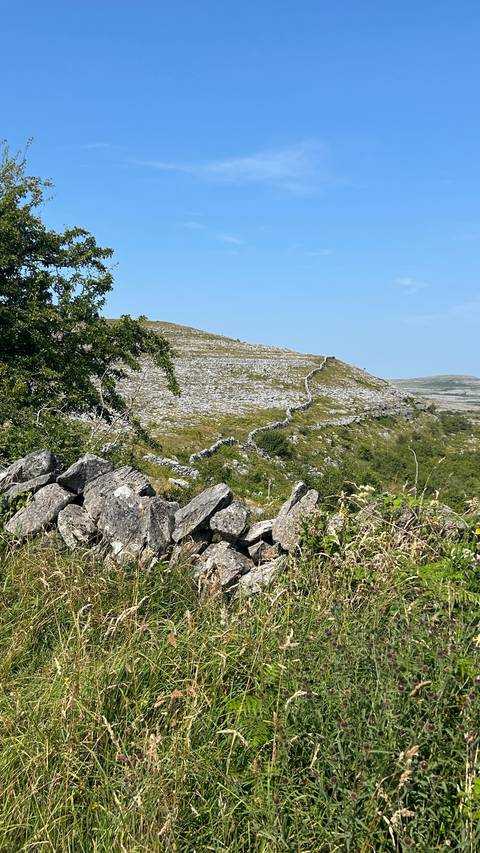       A long dry-stone wall snakes across a rocky, shrub-covered hillside under blue sky.
  