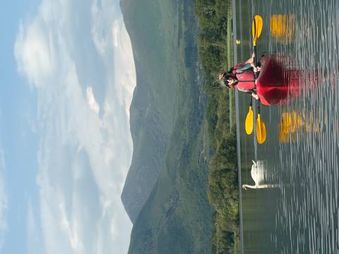       Paddler in a red kayak glides across a tranquil lake while a swan swims nearby, set against green mountains.
  