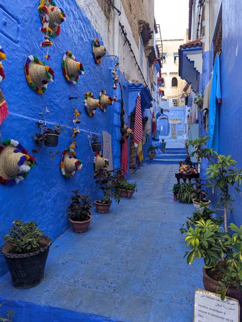       Morocco 7 Days Tour From Casablanca customer review photo 
  