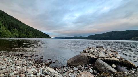       Pebble shore and driftwood beside a calm loch surrounded by forested hills at dusk.
  