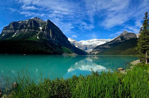       Iconic turquoise waters of Lake Louise mirror surrounding snow-capped peaks and forest.
  