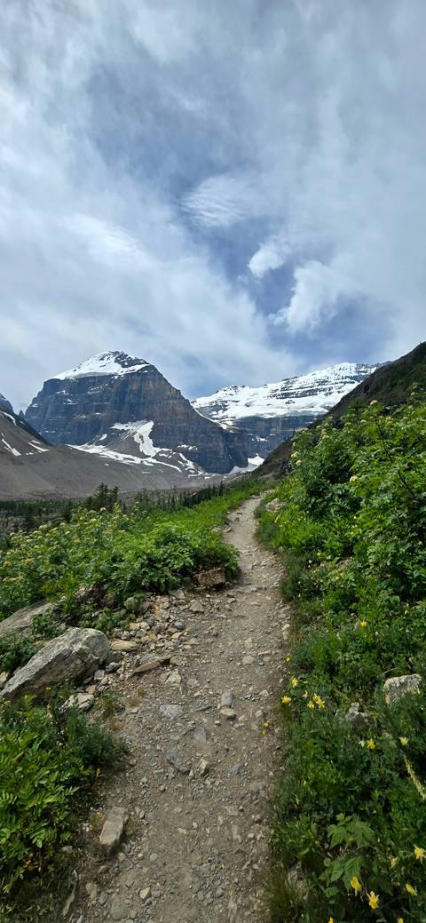       Alpine hiking trail winds toward snow-capped mountains under grey skies and lush greenery.
  