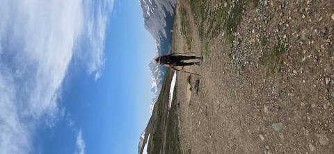       Backpack-laden hiker with trekking poles walks along a high alpine trail toward snow-capped peaks.
  