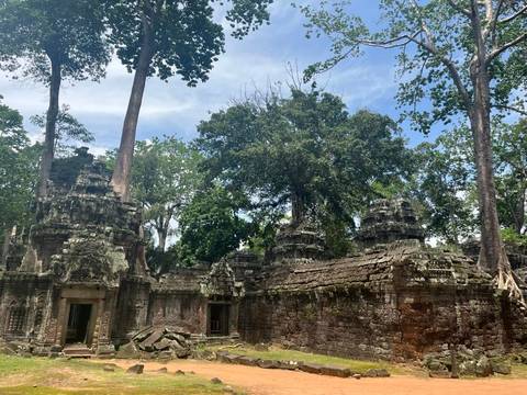       Moss-covered stone temple ruins entwined with towering trees under a sunny sky.
  