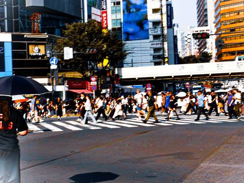       Photo d'avis client sur Japon classique 10 jours - One Life Adventures 
  