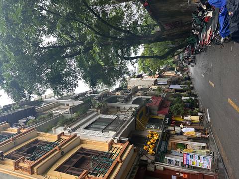       Narrow old-town street lined with tall colonial buildings, trees and a few shoppers under cloudy skies
  