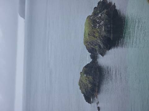       Two moss-topped rock stacks protrude from calm grey sea under cloudy skies.
  