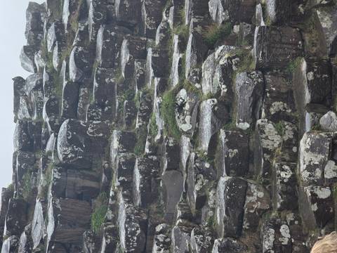       Detail of wet, lichen-spotted basalt columns stacked in geometric formations.
  