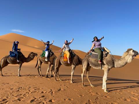       Travellers riding a line of camels across rolling orange dunes, arms raised in excitement.
  