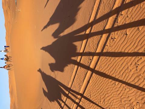       Elongated shadows of camels and riders cast across rippled sand as a caravan moves ahead on distant dunes.
  
