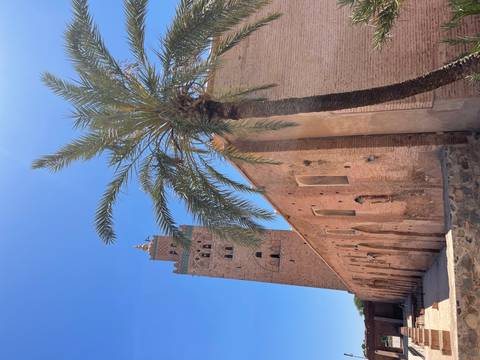       Koutoubia Mosque minaret rising beside a tall palm tree against a clear blue Marrakesh sky.
  