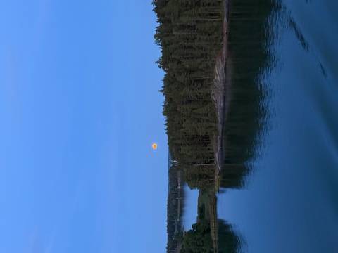       Twilight scene of full moon rising over pine-covered shoreline reflected in still lake waters
  